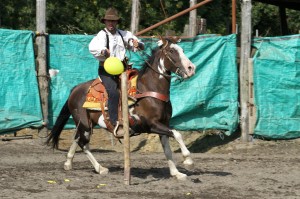 Cowboy Mounted Shooting © Marc Bainaud