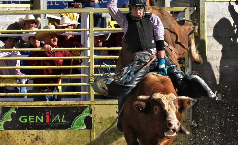 Saint-Agrève (07) - Equiblues 2014 - Rodéo - Diaporama Bulls