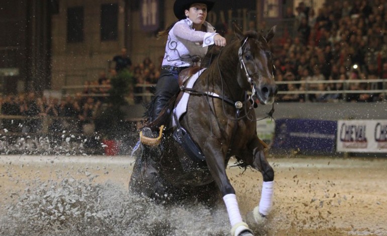 Salon du Cheval de Paris - Edition 2014