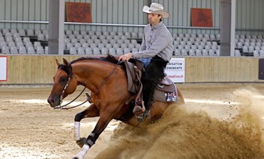 Le Pin (77) Parc Equestre Francilien - Paris Reining Classic – 4 au 7 août 2016 - 150 reining horses