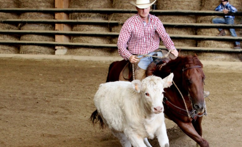 Tous à Mooslargue pour voir du TOP Reined Cow Horse