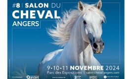 Salon du Cheval d’Angers 2024 : son pôle western vous attend !