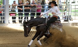 NRHA French Derby - Diaporama des reiners non pro