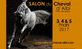 Albi fête le cheval du 3 au 5 mars 2017