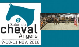 Et voilà les vaches au Salon du Cheval d’Angers !