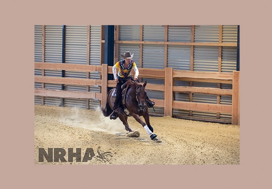 Ann Fonck devient Million Dollar Rider NRHA