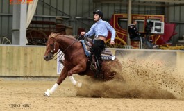 Paris Reining Classic au Parc Equestre Francilien au Pin (77) les 5/7 mai 2017