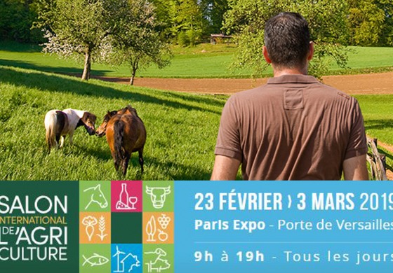 Salon de l’Agriculture à Paris : une conférence spéciale « cheval »