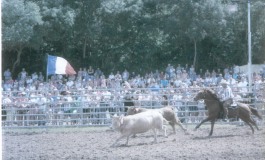 Drain (49) a fêté le cheval de l’Amérique Western