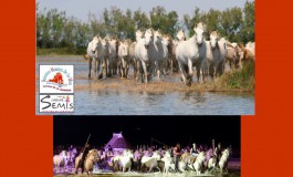 Rendez-vous du 6 au 9 août pour la Feria du Cheval 2020