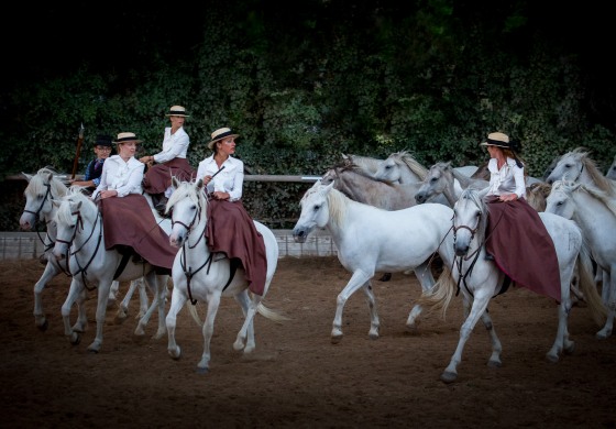 Le cheval au fil de l’histoire à Hennebont (Morbihan) le dimanche 17 septembre 2017