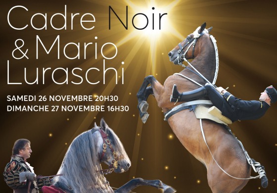 Salon du Cheval de Paris 2016 : on s’organise !