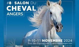 Automne 2024 : le cheval fait salon à Angers (49)