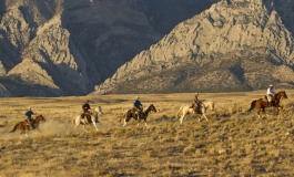 Chevaux et photos : une rime nouvelle