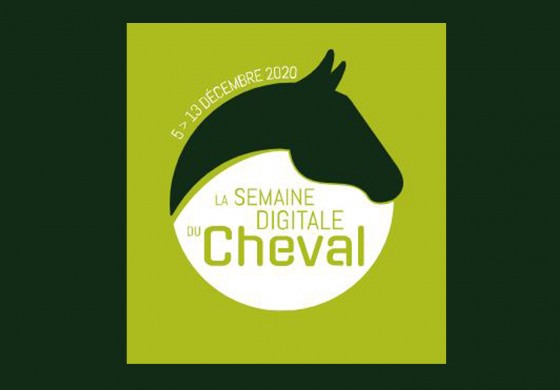 Des échanges à ne pas manquer lors de ce premier salon du cheval virtuel