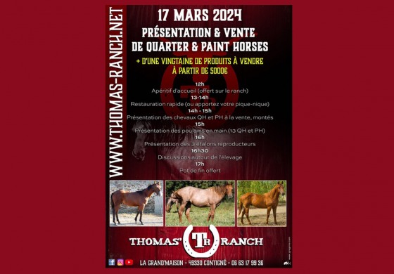 Vente de chevaux US en Anjou