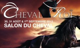 Cheval Roi (31) prépare son premier RV