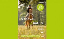 Les clés pour sortir en extérieur en toute quiétude avec son cheval