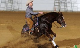 Kreuth (Allemagne) – 20 avril – CRI Concours de Reining International... qualificatif pour les JEM